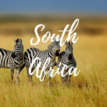south-africa-gda-global-dmc-alliance-giltedge-dmc-eventprofs-meetings-incentives-conferences-africa